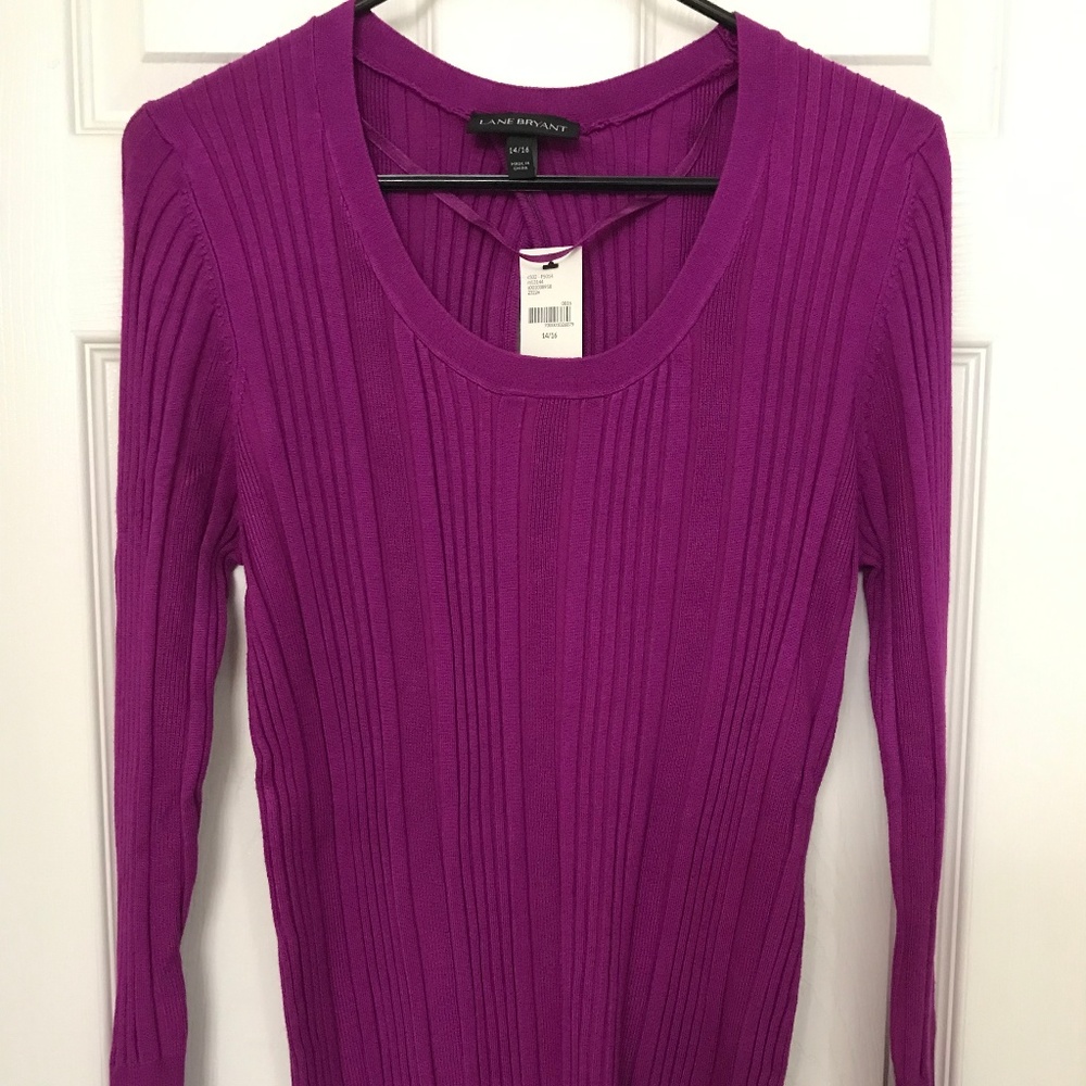 NWT Magenta Ribbed Sweater / Stretch